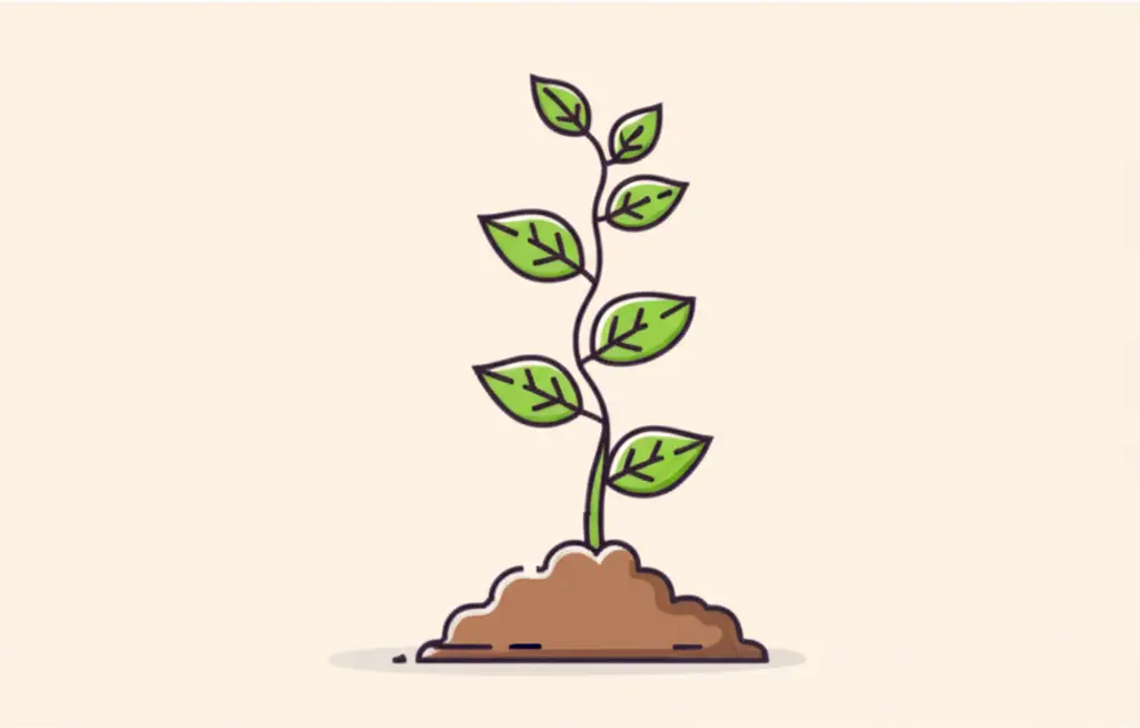 Illustration of a growing investment plant