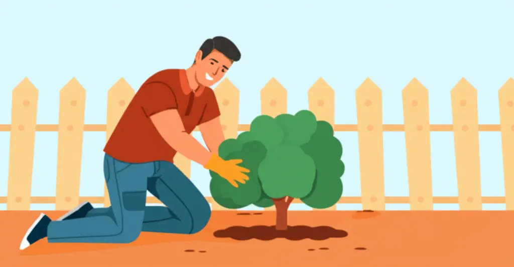 Cartoon homeowner planting a shrub on the property line