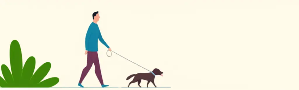 Taking a peaceful walk with a pet