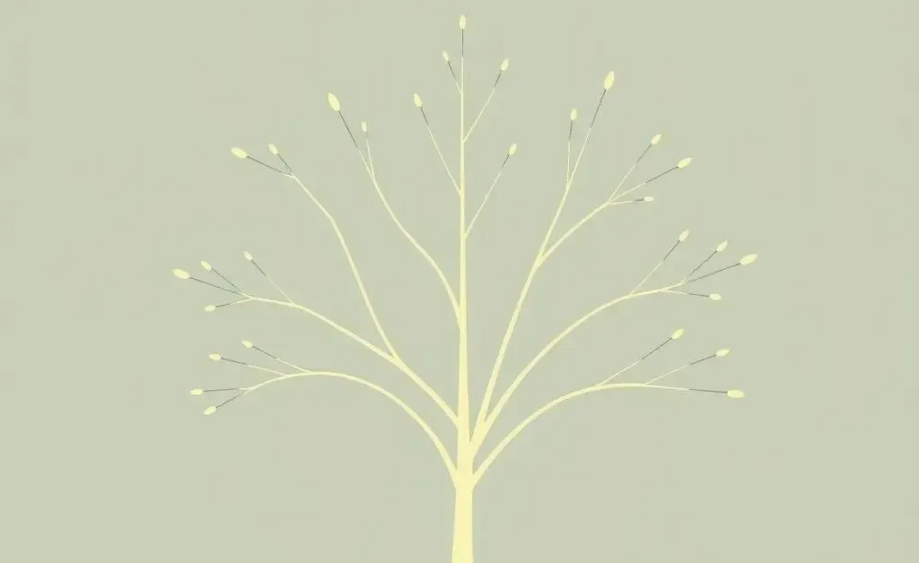 Cartoon tree illustrating a diversified portfolio