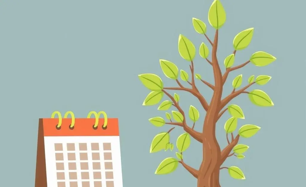 Money tree growing next to a calendar