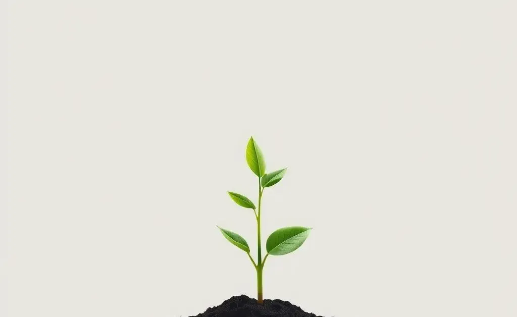 A minimalist graphic showing a plant slowly growing to represent mindful investment growth