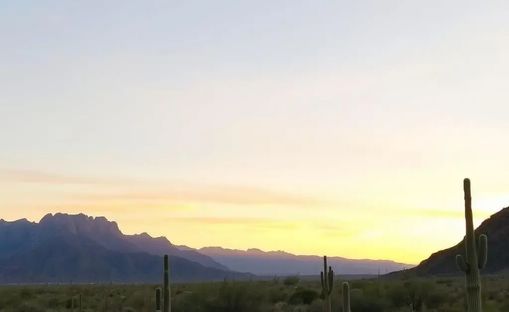 A peaceful Tucson landscape scene at sunrise
