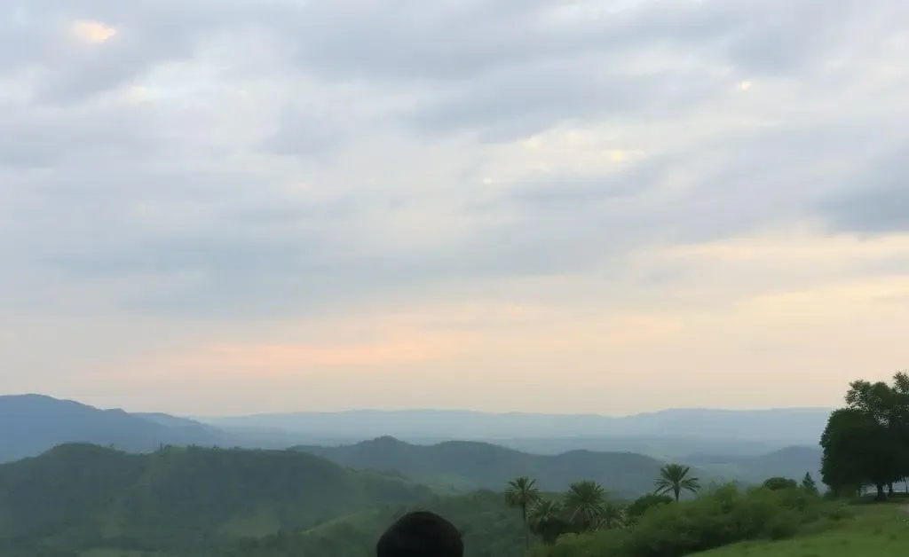 Calm setting of an investor reflecting on global stock trends