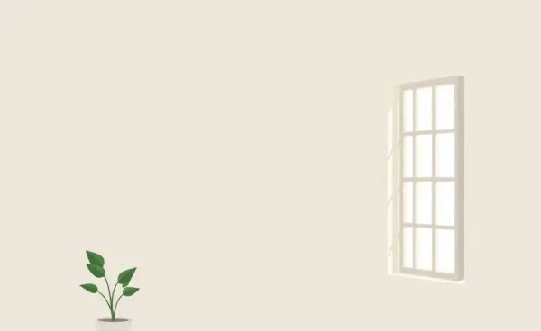 A minimalist room with a single plant and open window